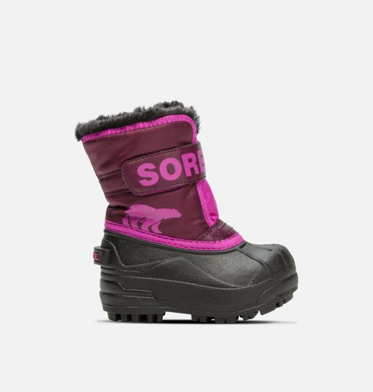 Kids Snow Boots Purple/Pink/Black - Sorel Toddler Commander™ - 640-GNTKFX